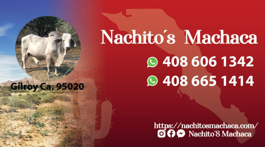 venta de machaca 100% de res en Girloy California